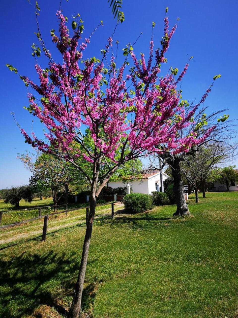 Villa Casa Tonino Pisticci Exterior foto
